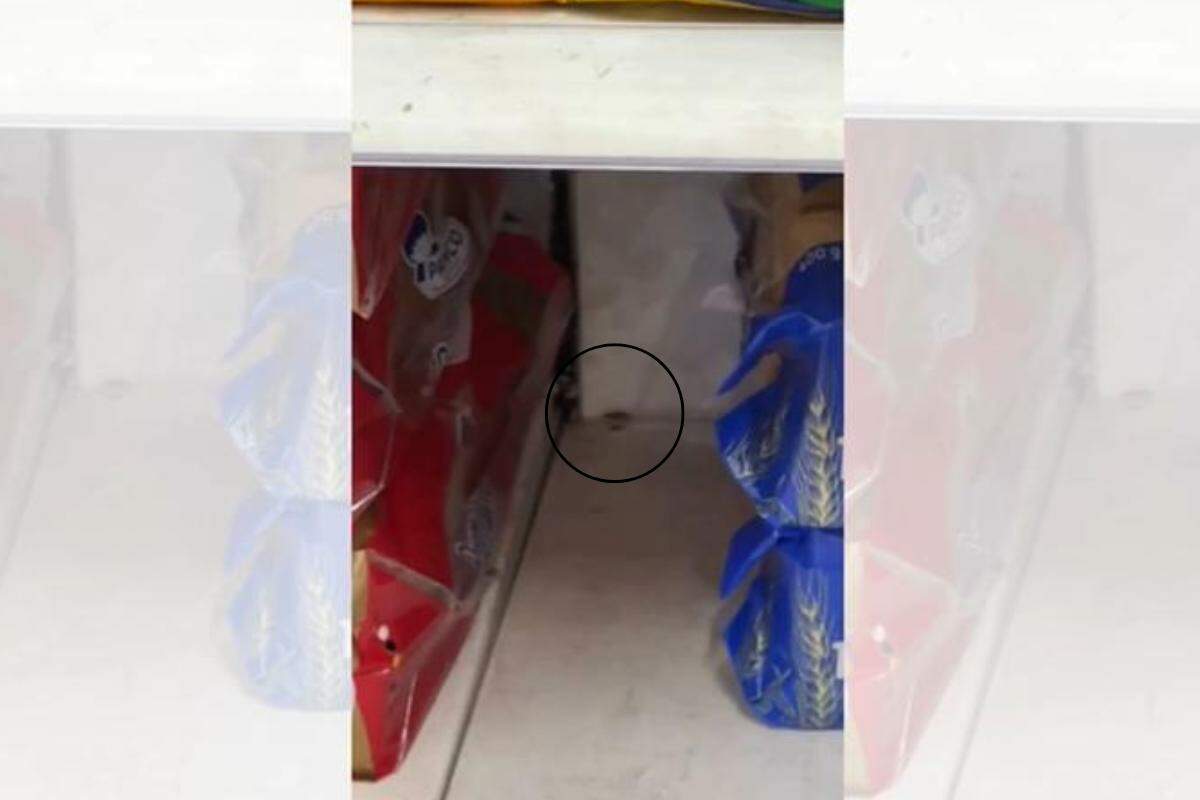 Cliente encontrou baratas andando entre os pães e cebolas de Extra da Ponta da Praia, em Santos