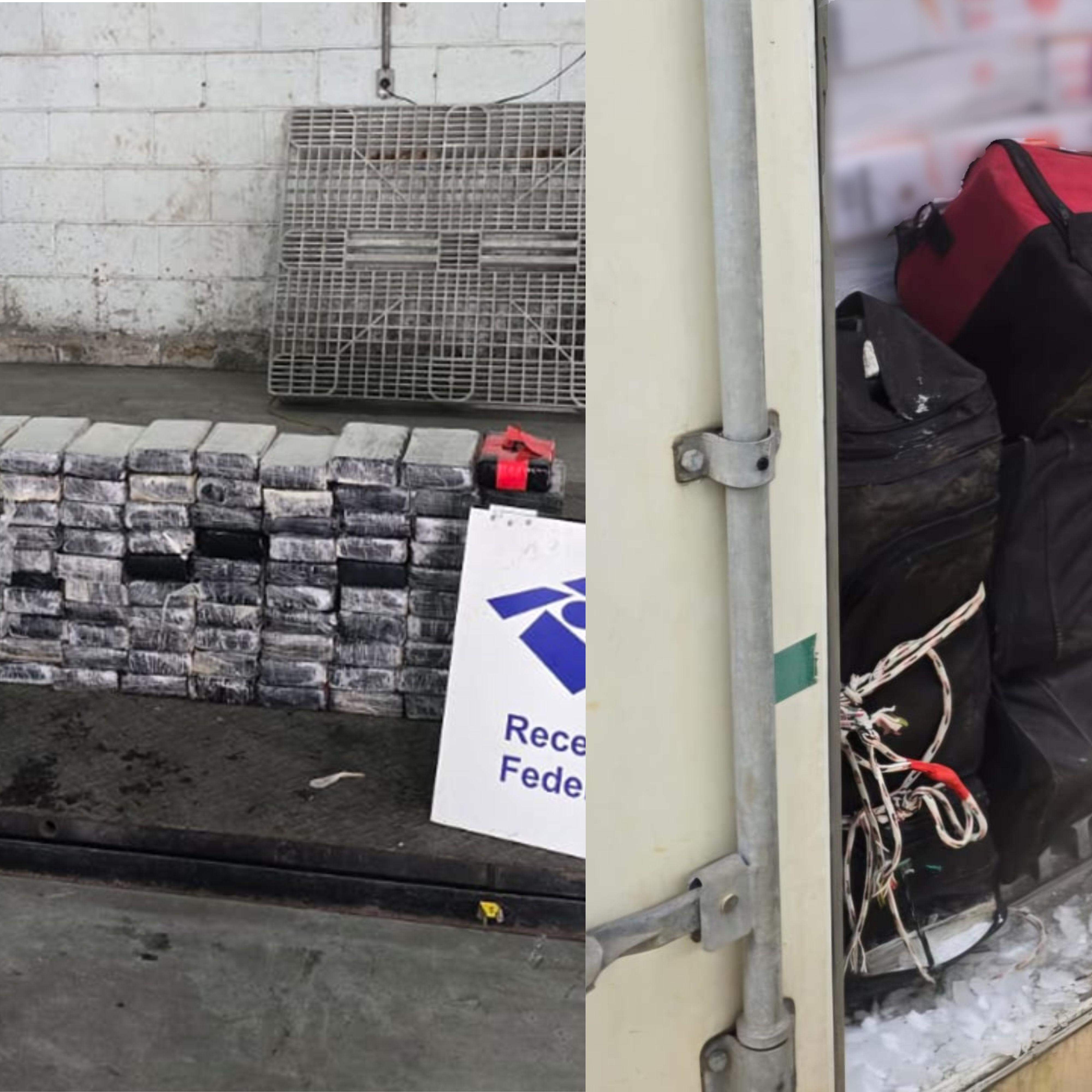 Droga estava acondicionada em tabletes, dentro de mochilas esportivas colocadas em um contêiner refrigerado