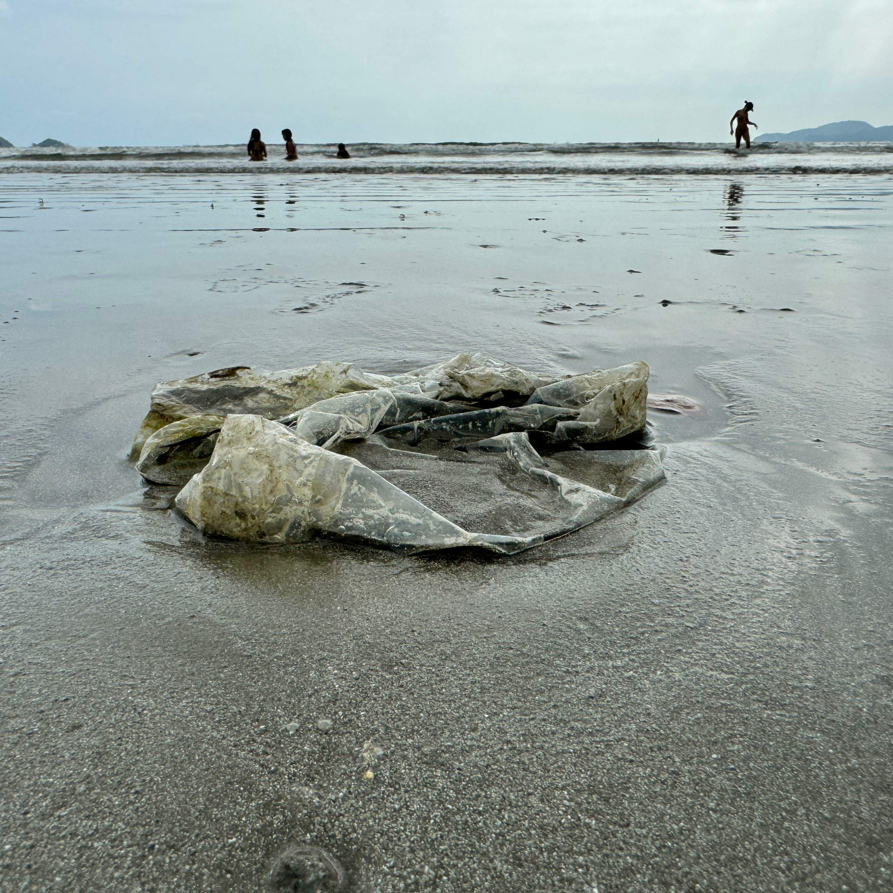 O microplástico se forma da degradação do plástico no mar; chega ao organismo humano pelos peixes