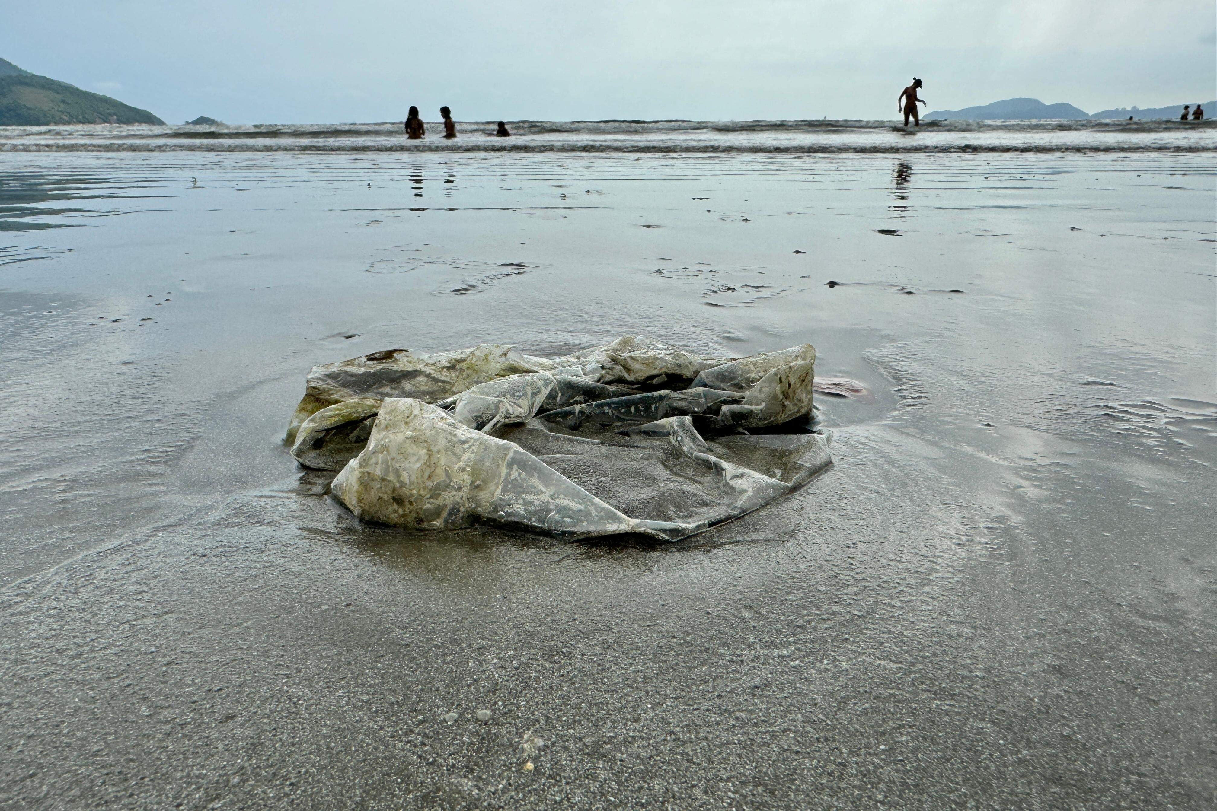 O microplástico se forma da degradação do plástico no mar; chega ao organismo humano pelos peixes
