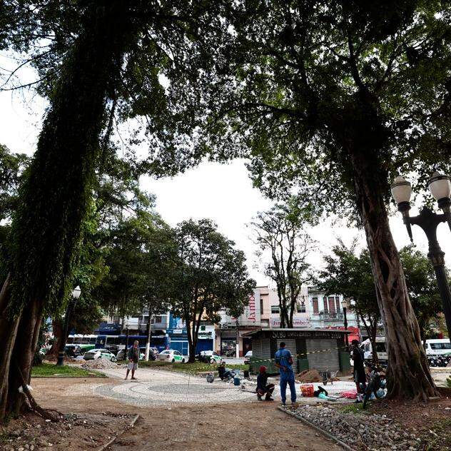 As obras estão em andamento desde 2023 e têm sofrido impedimentos; o mais recente é com uma árvore