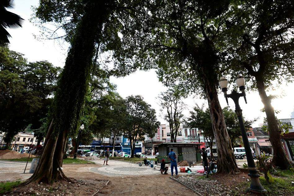 As obras estão em andamento desde 2023 e têm sofrido impedimentos; o mais recente é com uma árvore