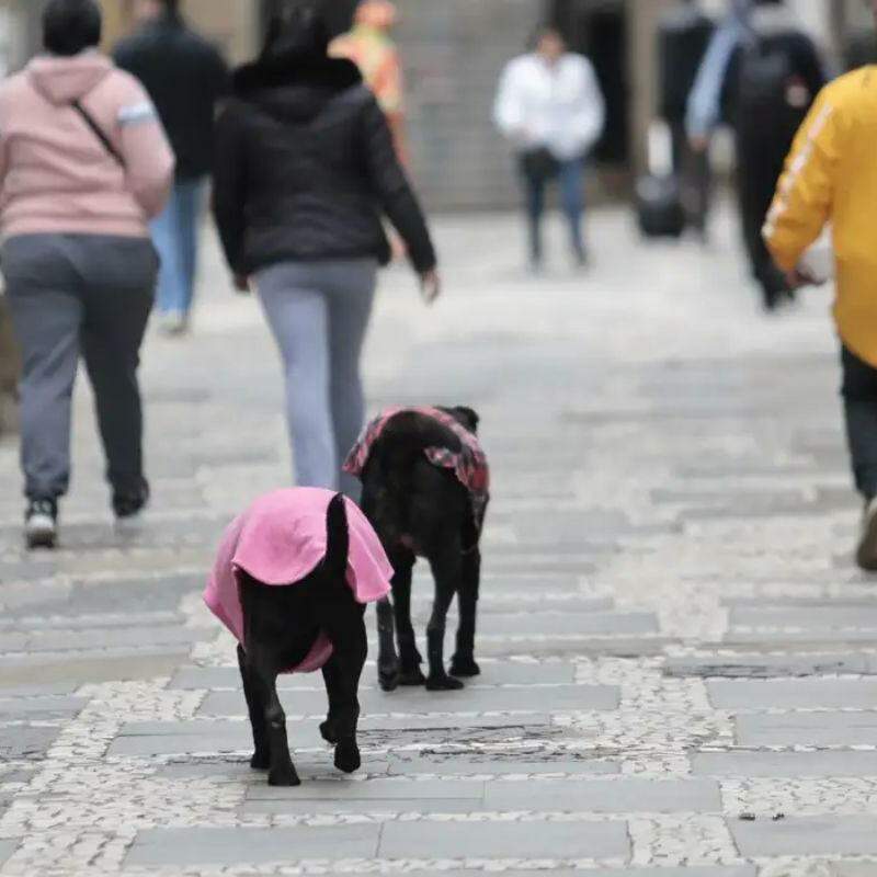 Semana começa com frente fria e chance de tempestade no Sul do País