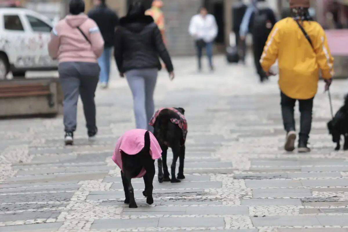 Semana começa com frente fria e chance de tempestade no Sul do País