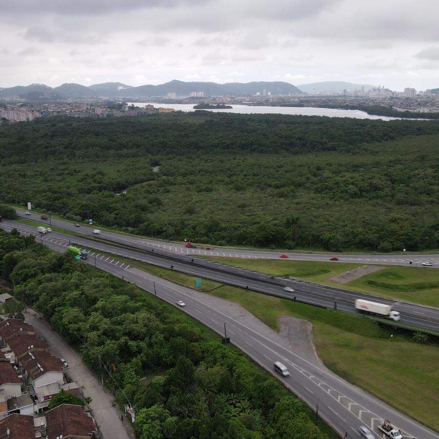 Terreno, de 412,5 mil metros quadrados na Ilha do Tatu faz parte da poligonal (traçado) do Porto de Santos