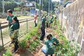 O plantio das espécies da Mata Atlântica foi feito por 25 voluntários