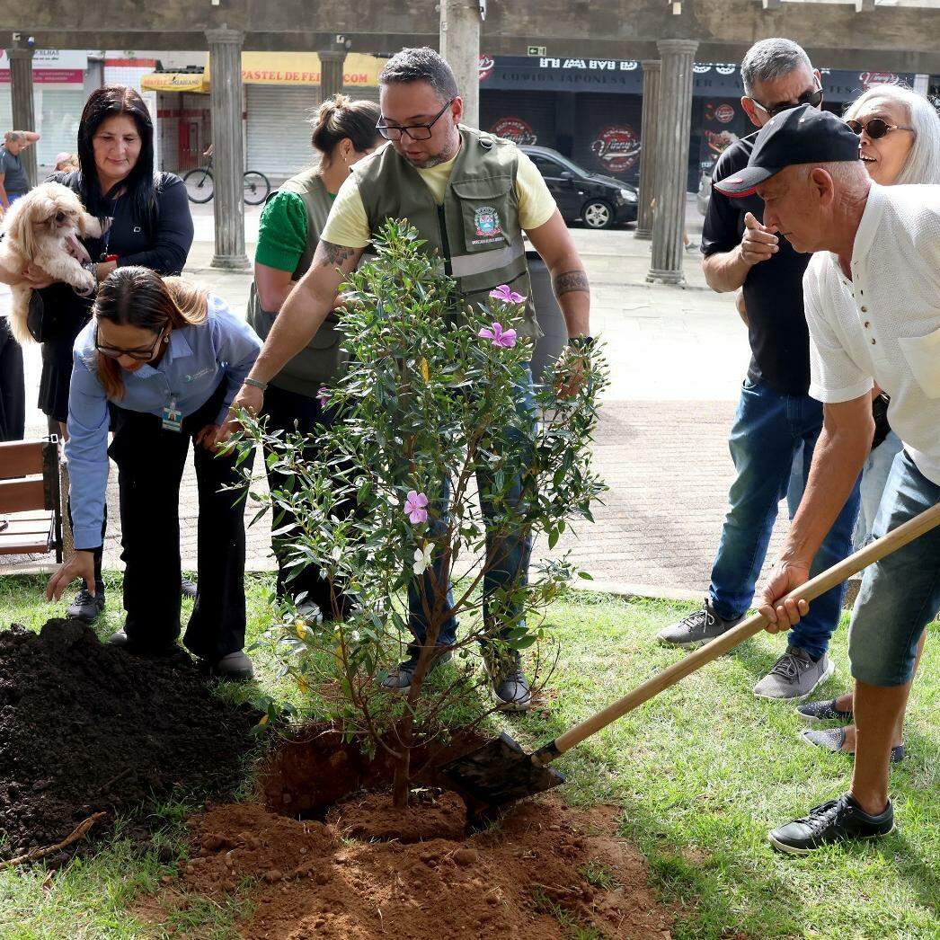 O início do projeto em Praia Grande teve o plantio simbólico de uma muda de manacá da serra, na Praça Roberto Andraus