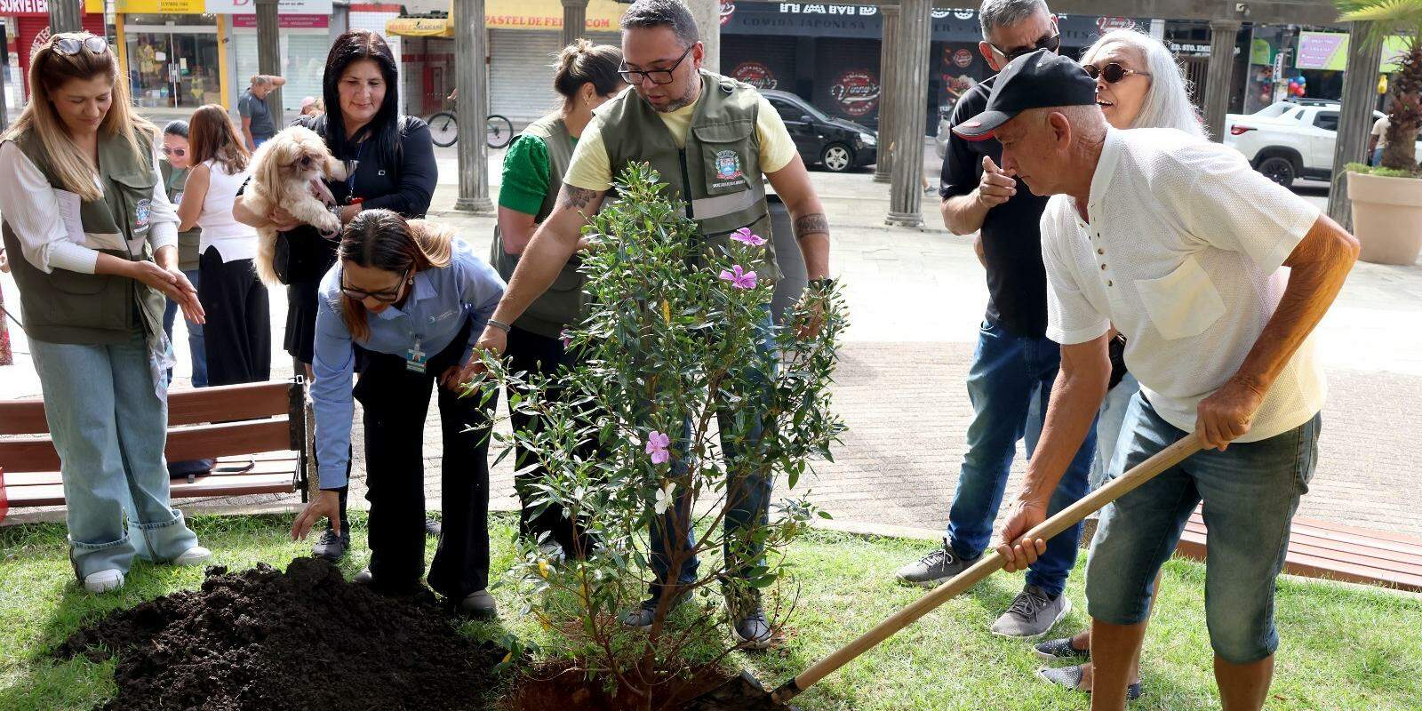 O início do projeto em Praia Grande teve o plantio simbólico de uma muda de manacá da serra, na Praça Roberto Andraus