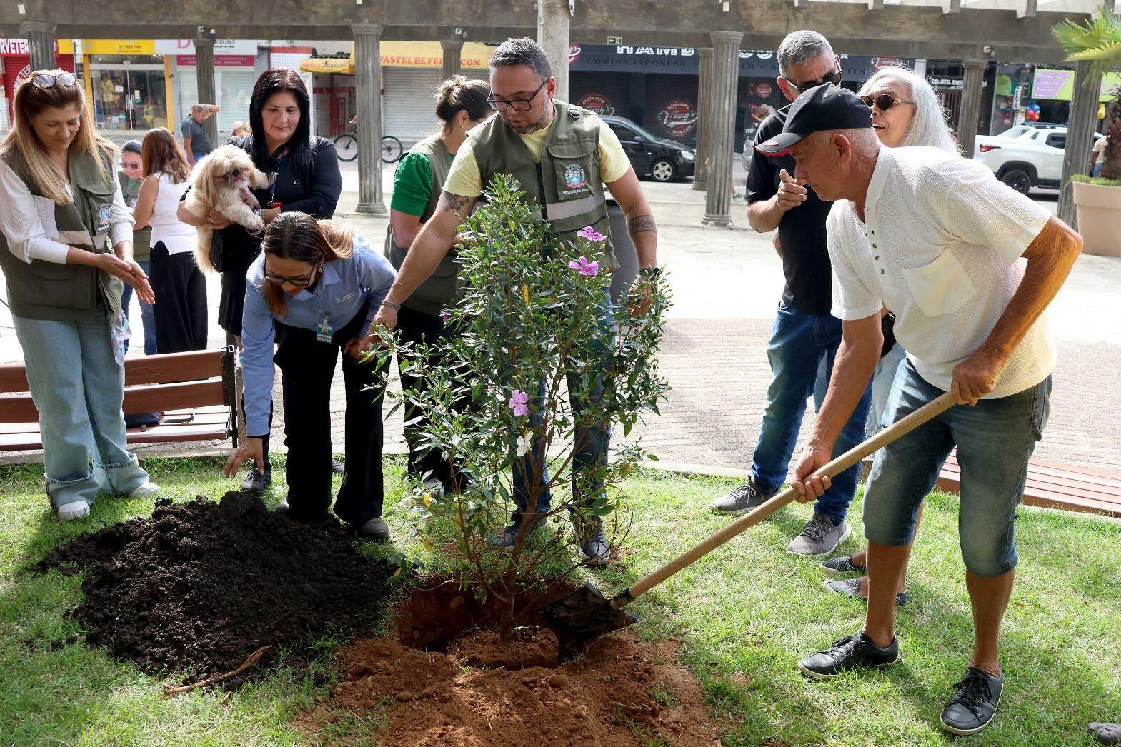 O início do projeto em Praia Grande teve o plantio simbólico de uma muda de manacá da serra, na Praça Roberto Andraus