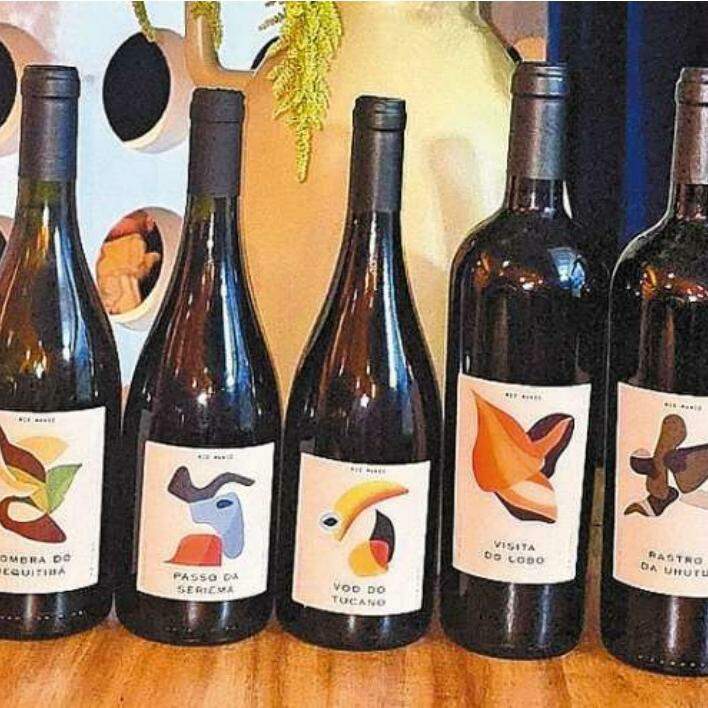 Vinhos de personalidade, fruto de um terroir de altitude em Jacutinga, Minas Gerais