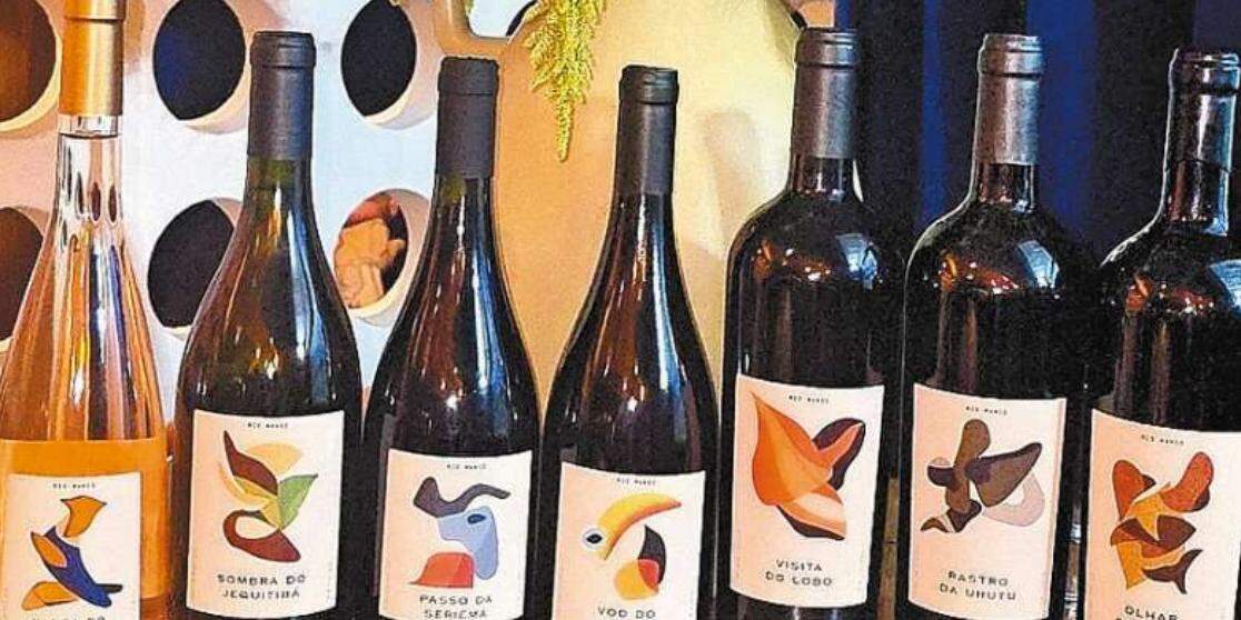 Vinhos de personalidade, fruto de um terroir de altitude em Jacutinga, Minas Gerais