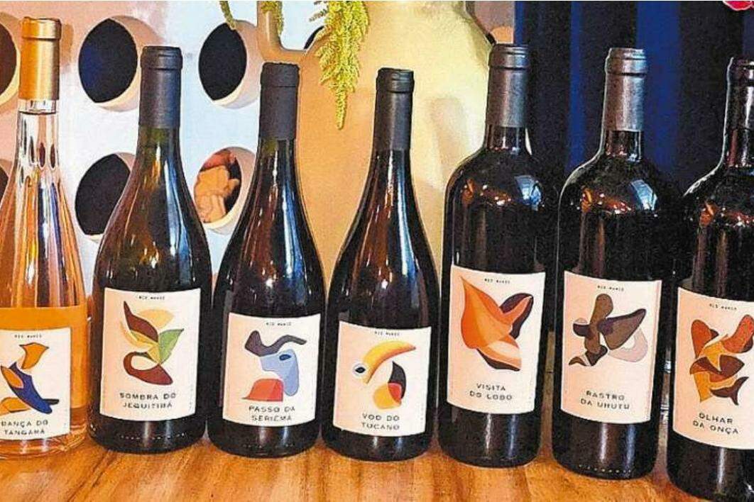 Vinhos de personalidade, fruto de um terroir de altitude em Jacutinga, Minas Gerais