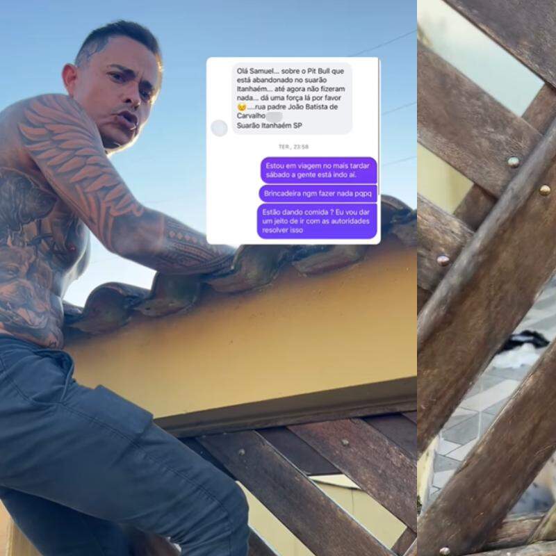 O Rei dos Pitbulls foi até a residência denunciar a situação de abandono animal em Itanhaém