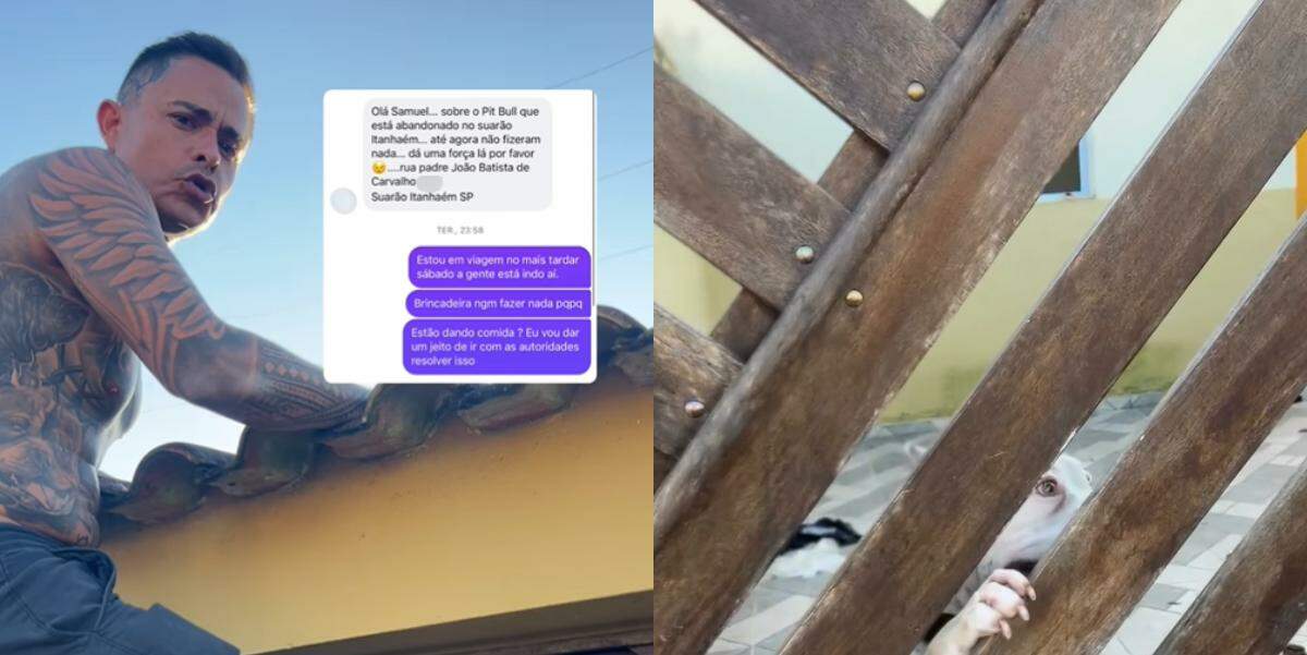 O Rei dos Pitbulls foi até a residência denunciar a situação de abandono animal em Itanhaém