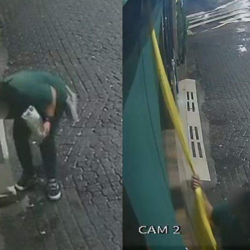 Mulher foi flagrada furtando a decoração temática do bar