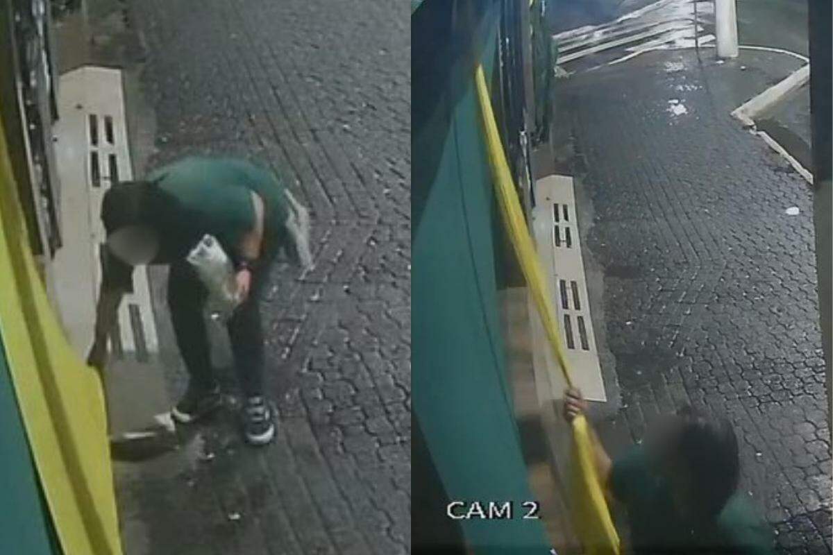 Mulher foi flagrada furtando a decoração temática do bar