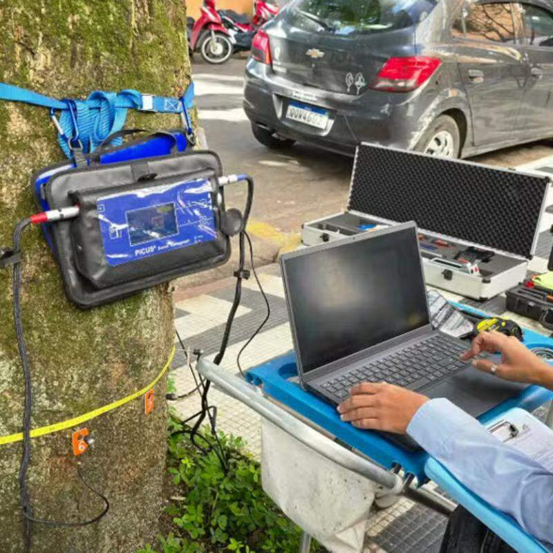 Tomógrafo e resistógrafo são tecnologias avançadas que inspecionam a saúde interna de árvores urbanas