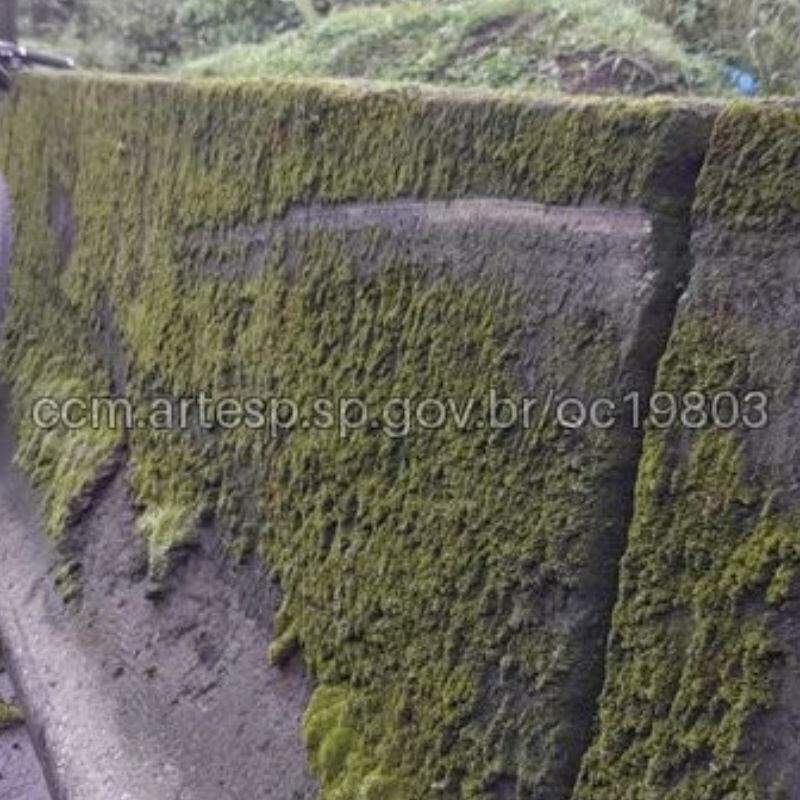 Ciclista de 67 anos se chocou contra mureta de concreto da Rodovia Cônego Domênico Rangoni, em Santos, e caiu. Ele sofreu ferimentos na cabeça e não resistiu