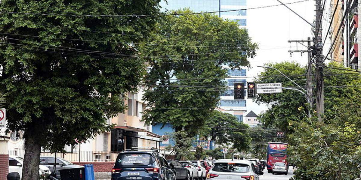 Alameda Armênio Mendes, em Santos