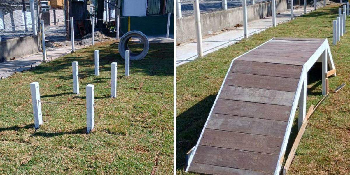Espaço exclusivo para pets será inaugurado em parque de Santos
