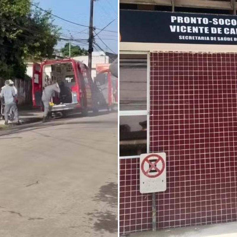 Homem estava capinando mato quando foi atacado por abelhas