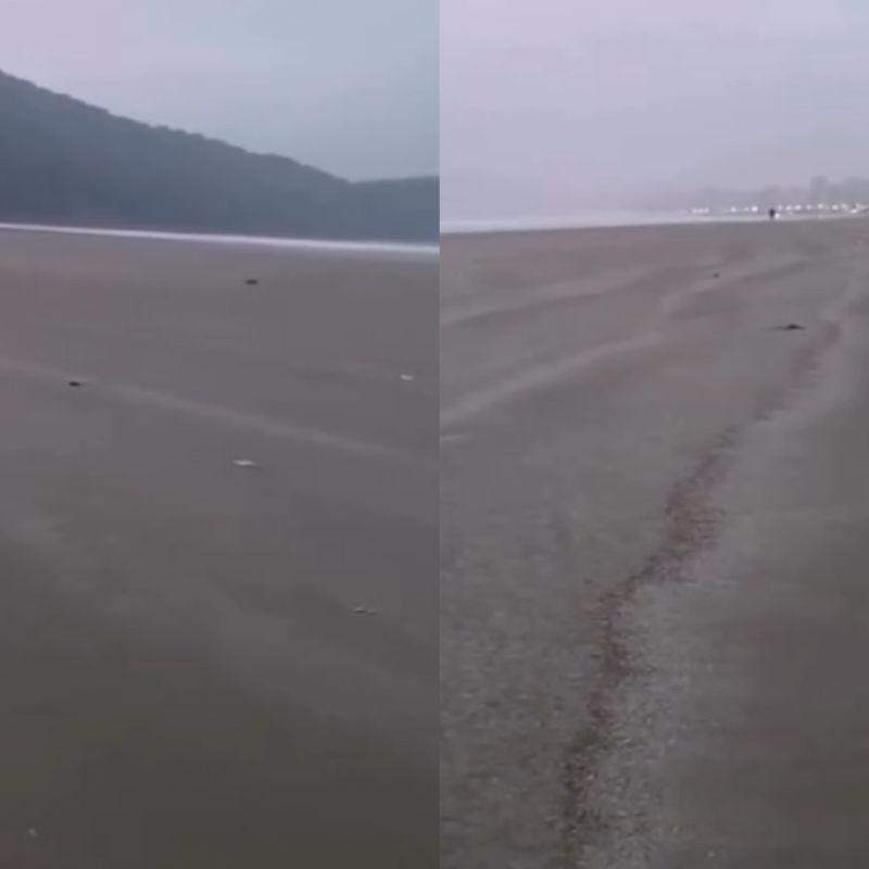 Mar recuado chamou a atenção de moradores e turistas em Praia Grande