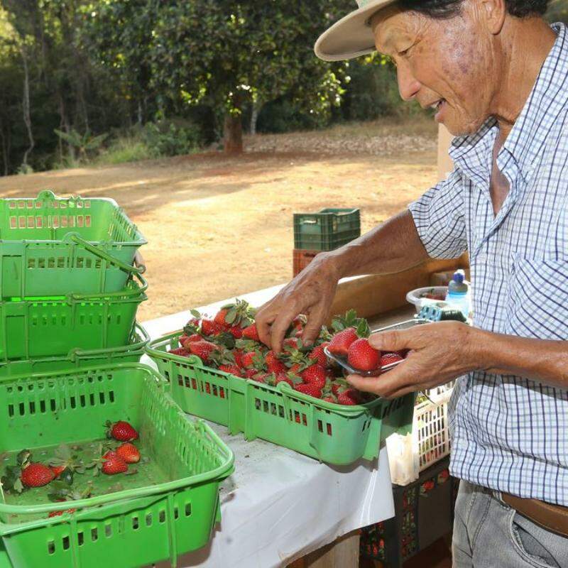 Finep vai pagar R$ 220 milhões para inovações em agricultura familiar 