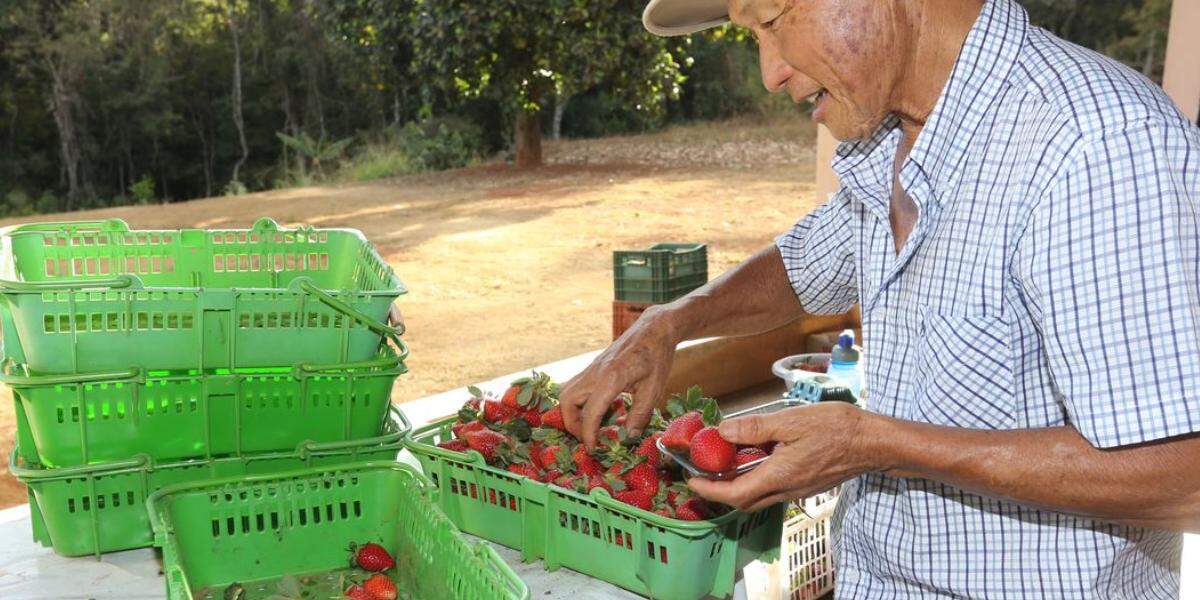 Finep vai pagar R$ 220 milhões para inovações em agricultura familiar 