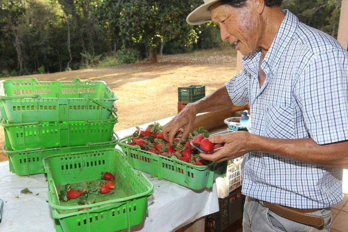 Finep vai pagar R$ 220 milhões para inovações em agricultura familiar 