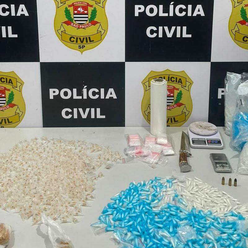 Foram apreendidas 546 porções de cocaína, 222 porções de maconha, 57 porções de skunk, 15 porções de flor de maconha, 81 porções de K-2, 16 pedras de crack e duas porções de ice
