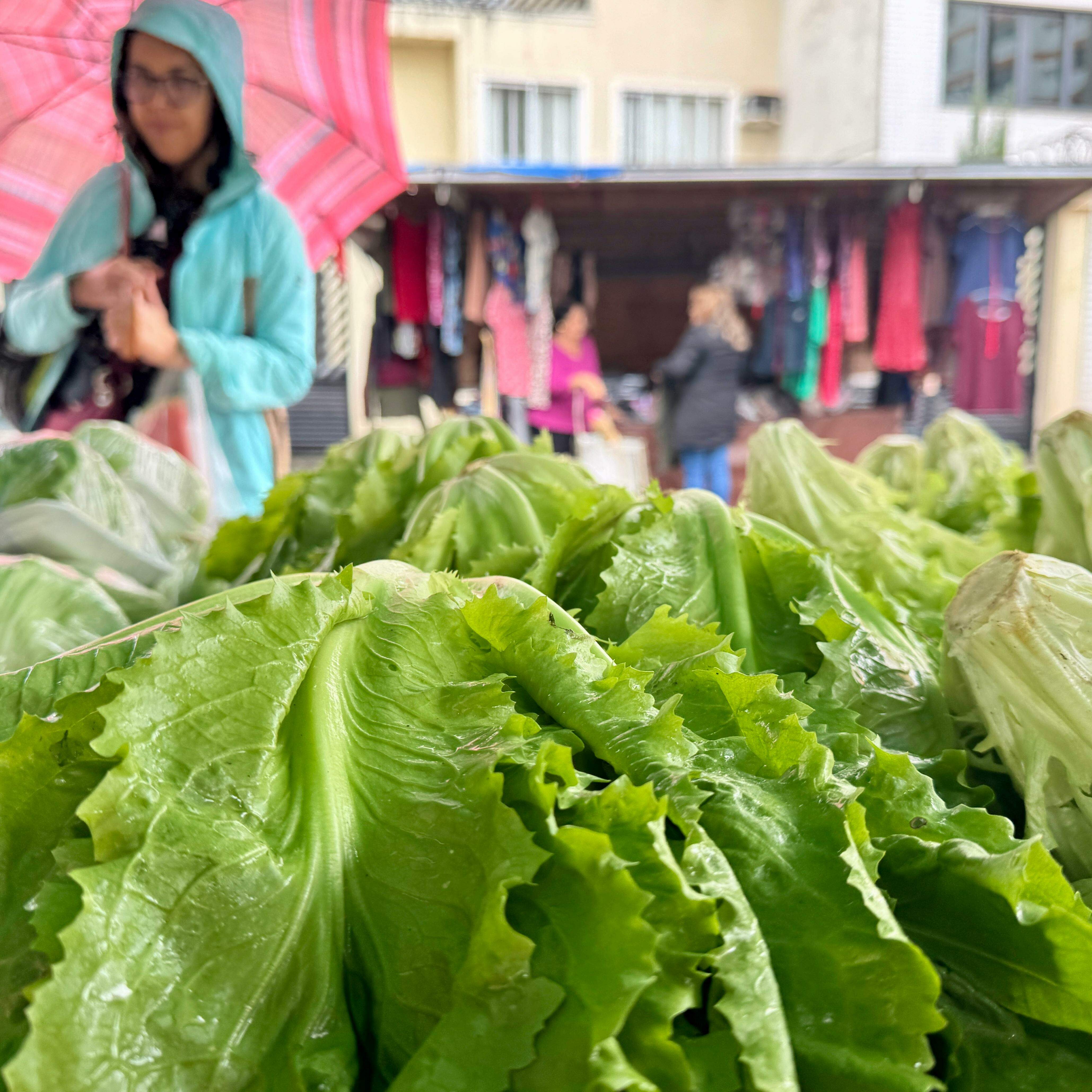 Dependendo da barraca e da qualidade do produto, nesta terça (7), alface custava de R$ 2,50 a R$ 5,00 a unidade