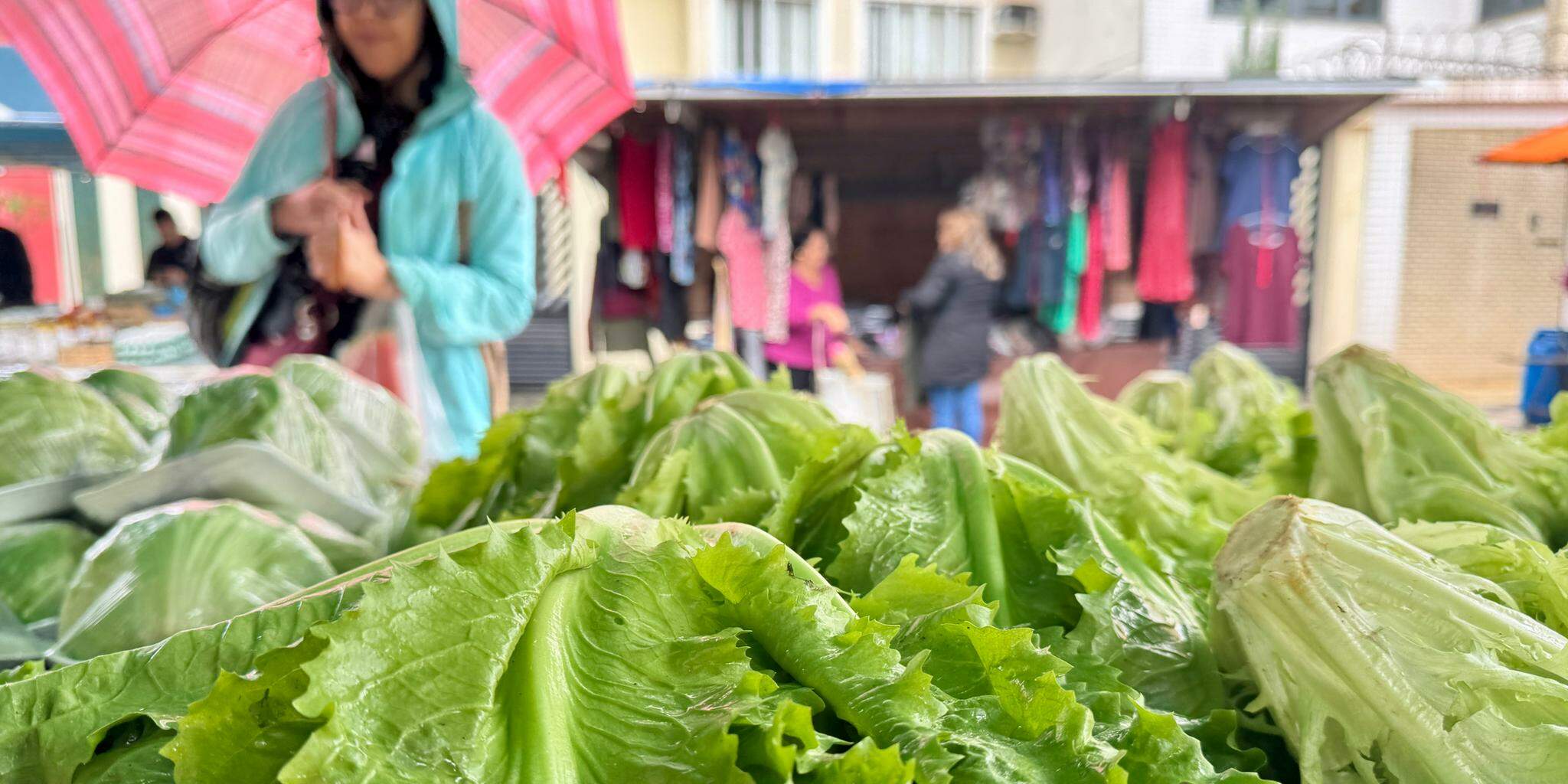 Dependendo da barraca e da qualidade do produto, nesta terça (7), alface custava de R$ 2,50 a R$ 5,00 a unidade