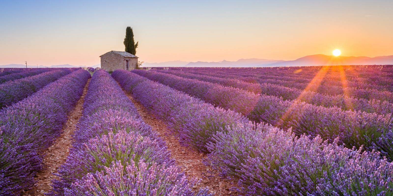 Platô de Valensole