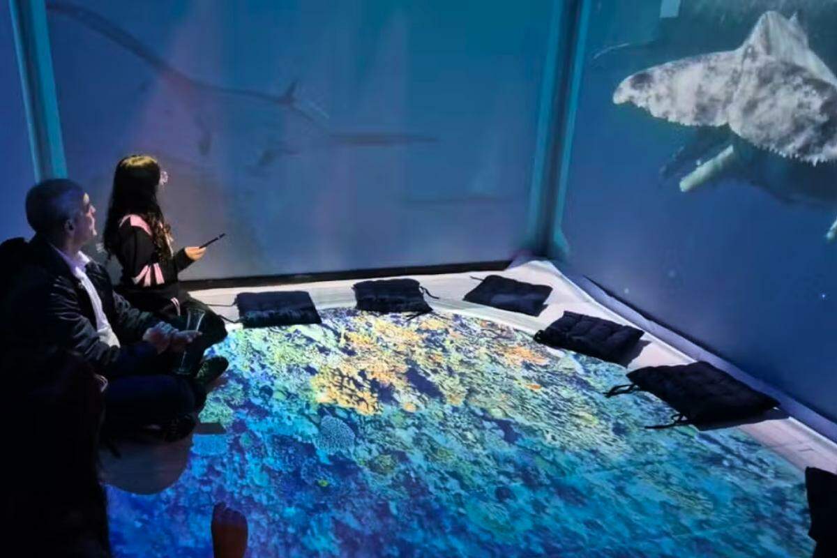 O cinema imersivo em Santos tem projeções contínuas nas paredes e no chão, para criar a sensação de estar no fundo do mar