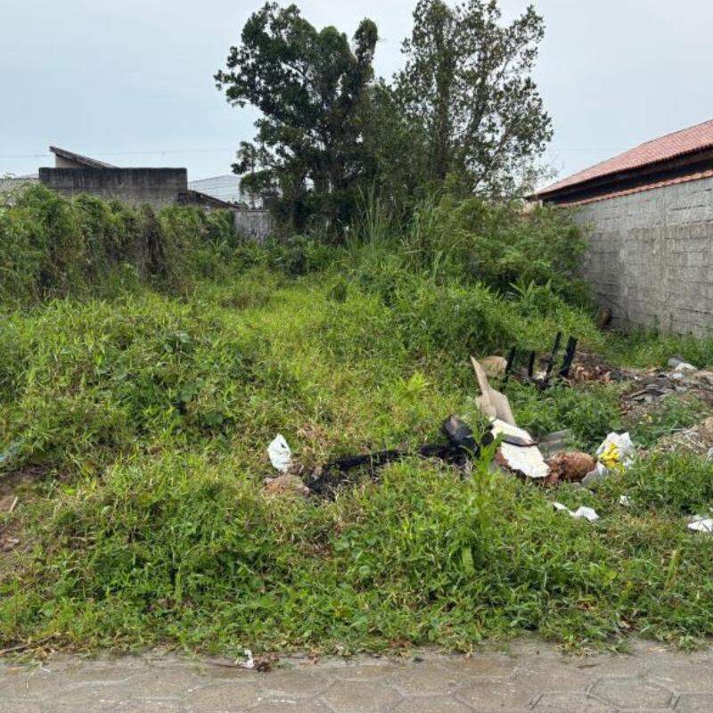 Decreto permite que a Prefeitura de Mongaguá execute limpeza de terrenos quando o responsável não cumprir notificação