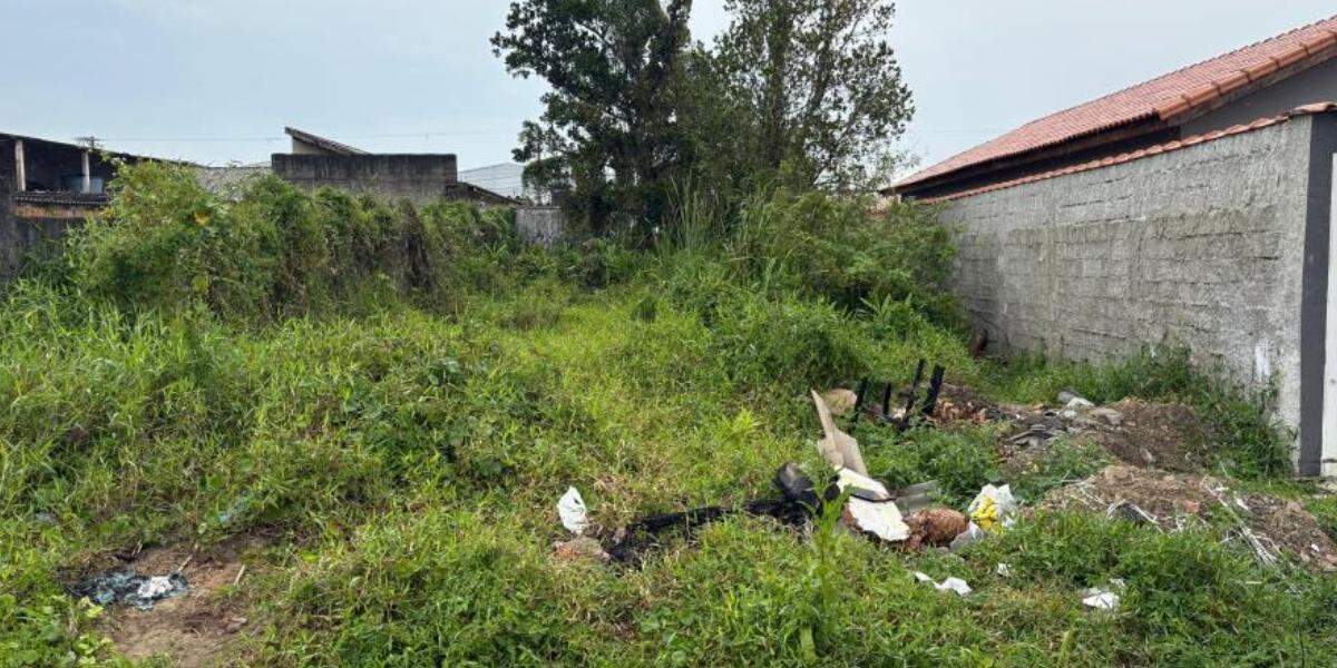 Decreto permite que a Prefeitura de Mongaguá execute limpeza de terrenos quando o responsável não cumprir notificação