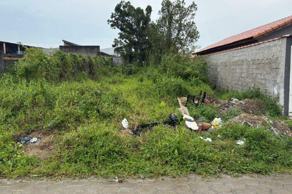 Decreto permite que a Prefeitura de Mongaguá execute limpeza de terrenos quando o responsável não cumprir notificação