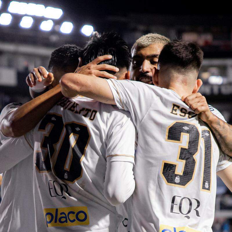 Santos volta a jogar pelo Brasileirão após um mês e meio