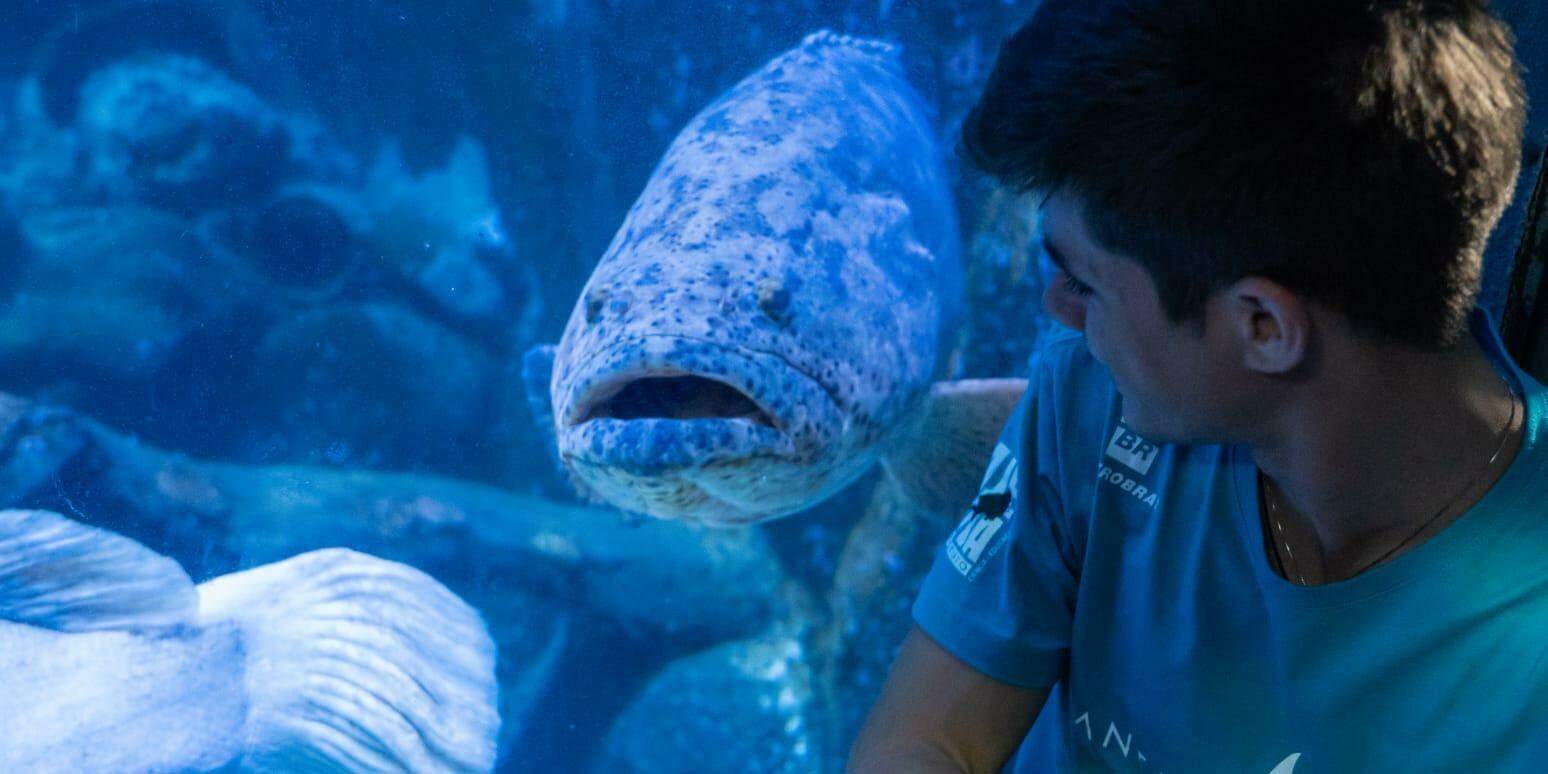 Coletivo é uma iniciativa do projeto Mantas do Brasil e da Petrobras