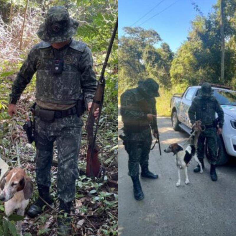 Cão foi resgatado e espingarda foi apreendida durante a ação