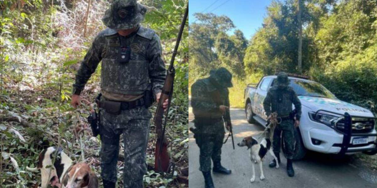 Cão foi resgatado e espingarda foi apreendida durante a ação