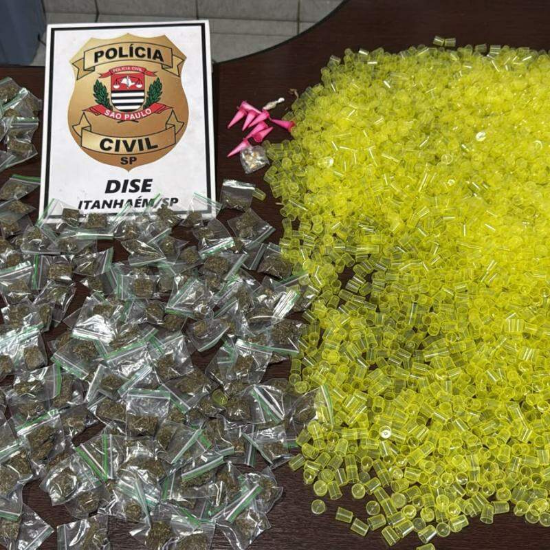 Entorpecentes foram apreendidos pela Polícia Civil durante a ação