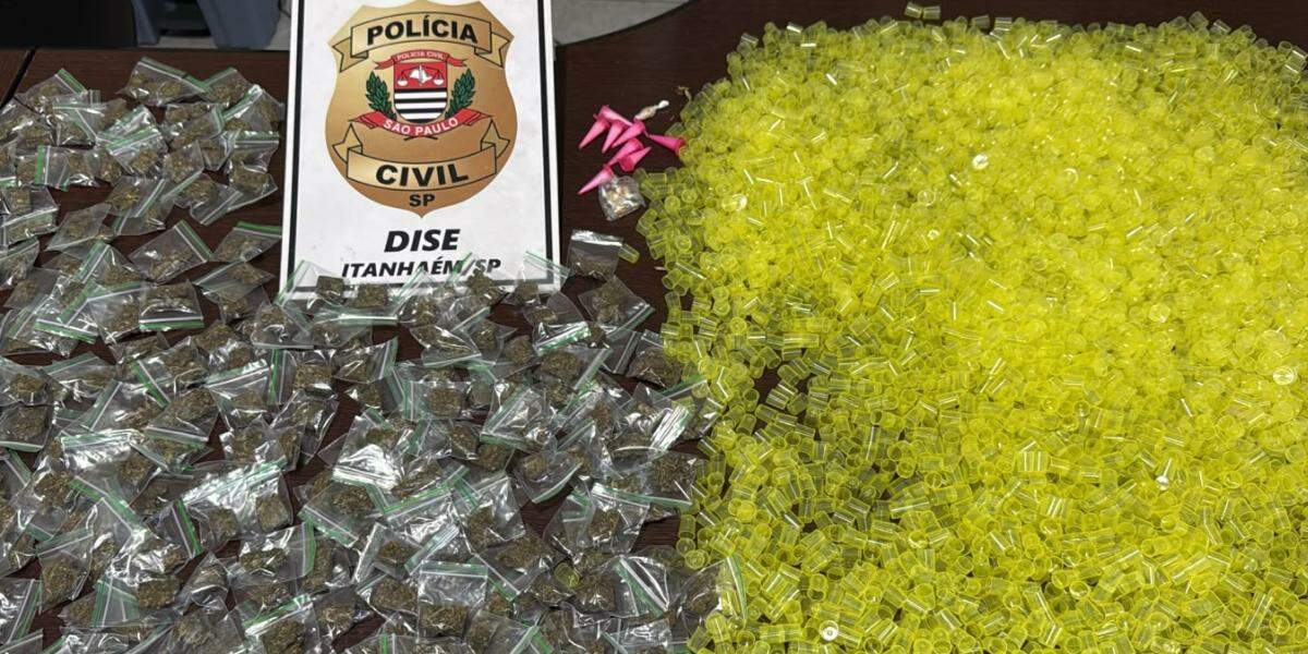 Entorpecentes foram apreendidos pela Polícia Civil durante a ação
