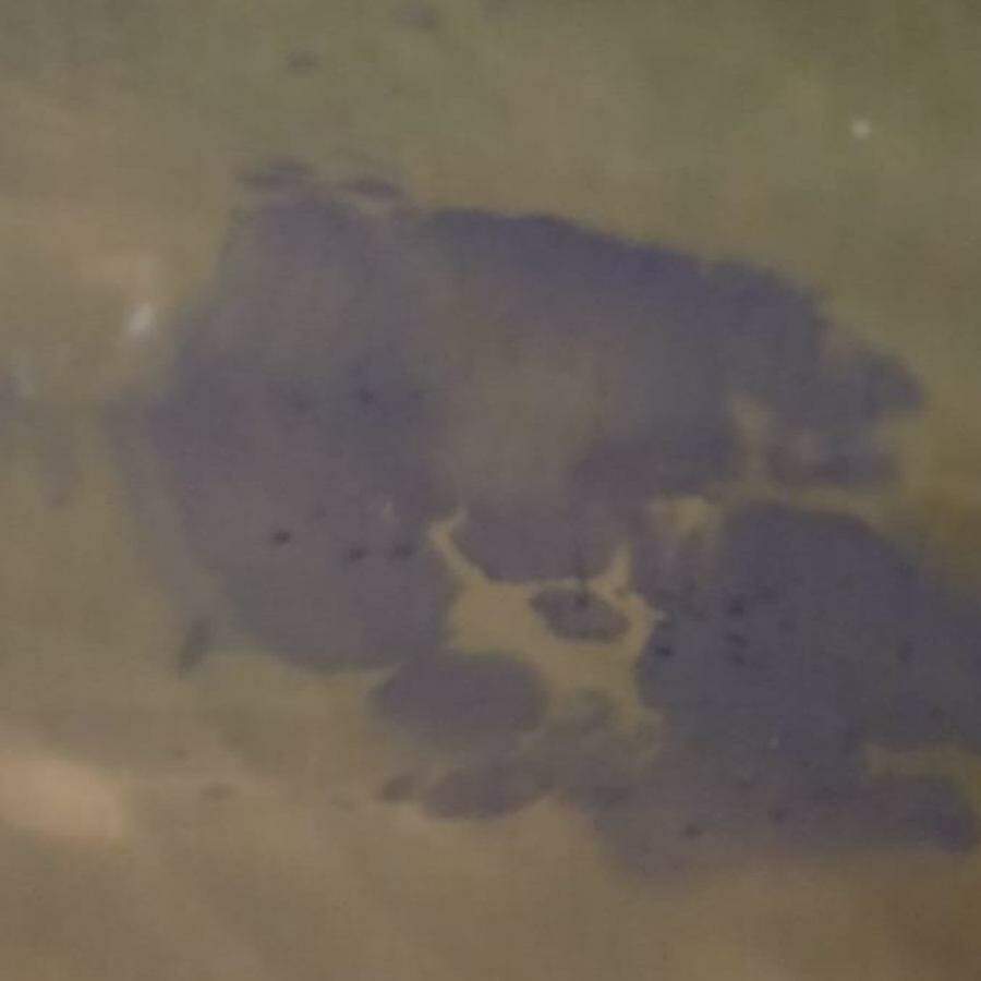 Morador diz que é a primeira vez que encontra manchas de óleo na praia