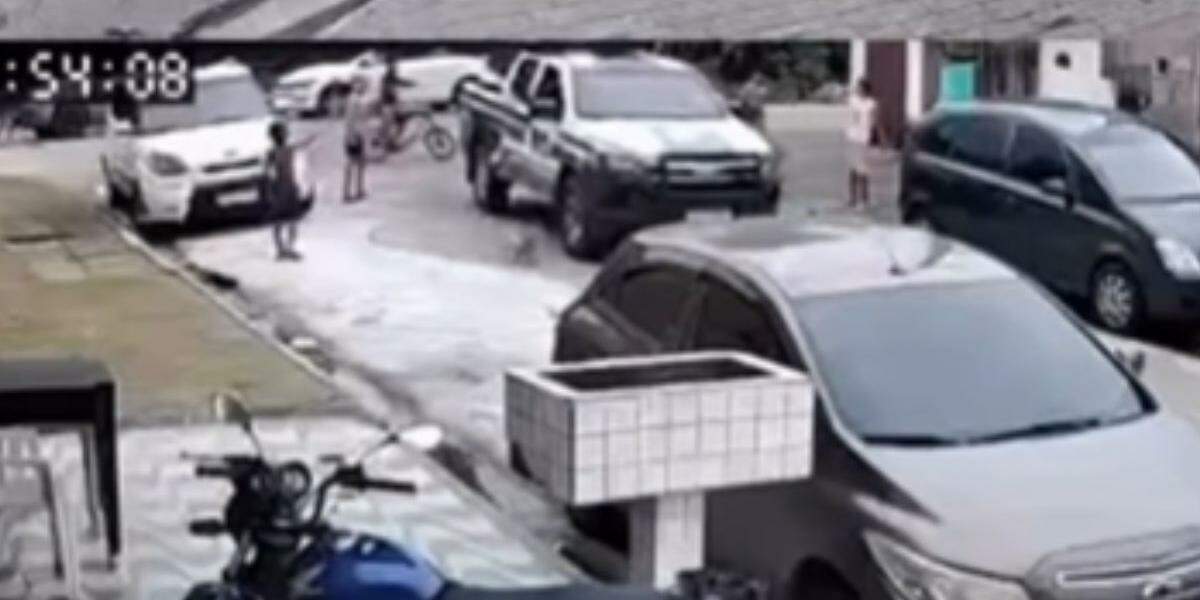 Prefeitura afirma que a equipe não percebeu o animal