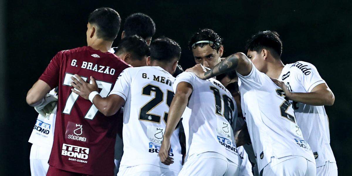 Depois de mais uma vitória na Copa Sul-Americana, o Santos retoma as atenções para o Brasileirão