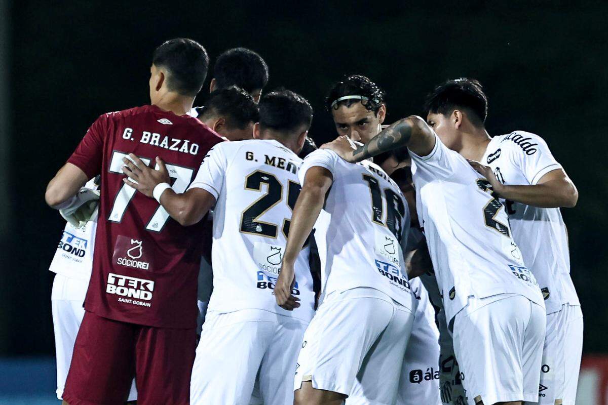 Depois de mais uma vitória na Copa Sul-Americana, o Santos retoma as atenções para o Brasileirão