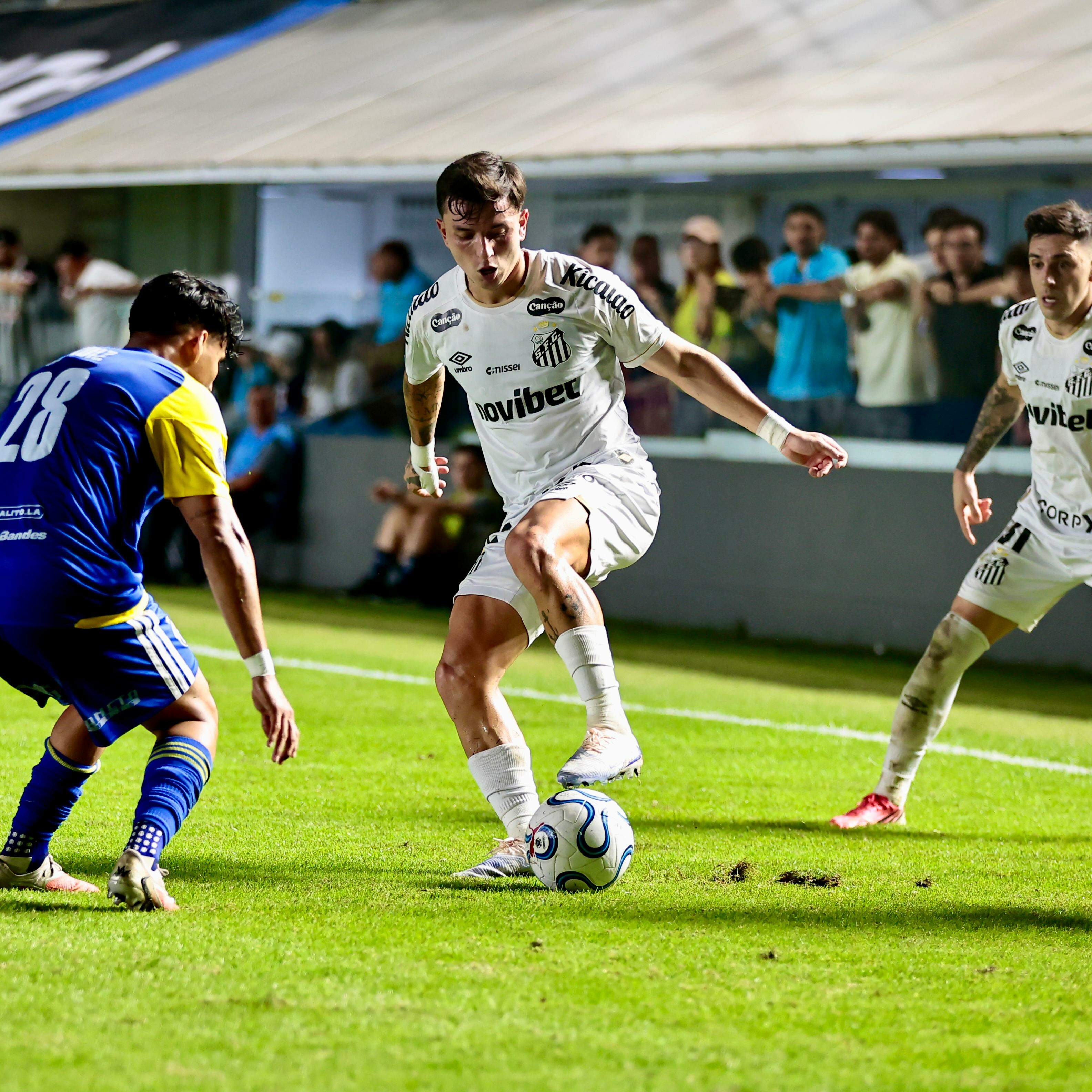 Com 29 pontos, o Santos aparece na 14ª posição do Brasileirão