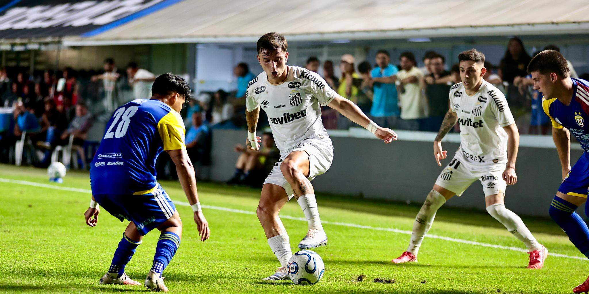 Com 29 pontos, o Santos aparece na 14ª posição do Brasileirão