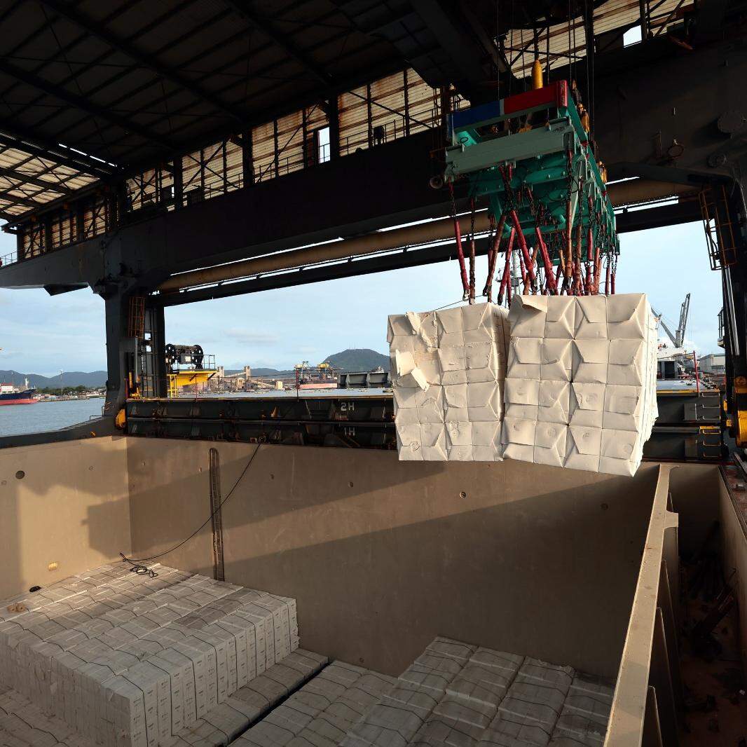 Terminal da Eldorado no cais santista está completando três anos de operações